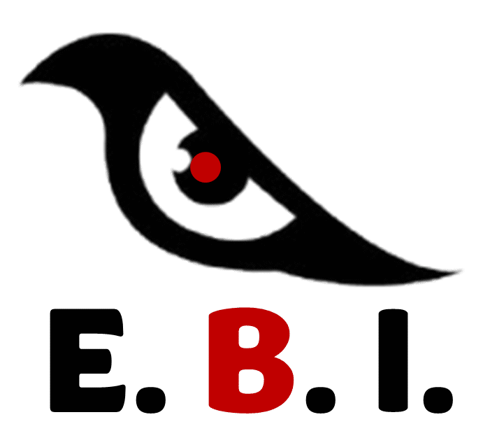 Early Bird Investorz